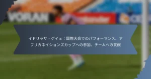 イドリッサ・ゲイェ：国際大会でのパフォーマンス、アフリカネイションズカップへの参加、チームへの貢献
